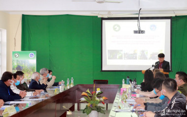 Bàn giải pháp hạn chế sử dụng mật gấu ở Việt Nam