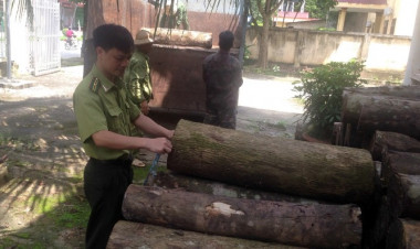 lâm nghiệp