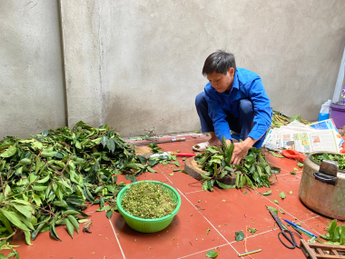 Đa dạng họ sim (Myrtaceae) ở Khu Bảo tồn thiên nhiên Pù Huống, tỉnh Nghệ An