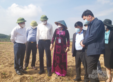 Khu lâm nghiệp công nghệ cao là bệ phóng, giống lâm nghiệp là trái tim