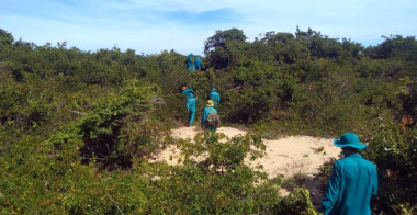 Lên phương án bảo vệ rừng dịp Tết Nguyên đán
