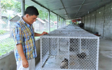 Hộ gia đình, cá nhân chiếm 90% số cơ sở nuôi động vật hoang dã