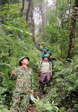 Ngậm ngùi nghề giữ rừng