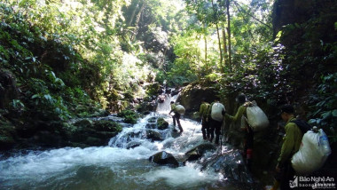 Chính sách bảo vệ rừng ở Nghệ An: Tiền có nhưng chưa thể chi!