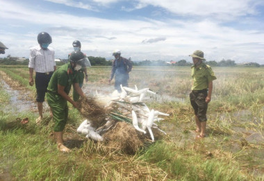 Gần 30 cơ sở nuôi, buôn bán chim không phép