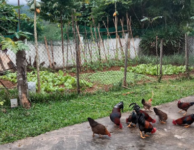 Công đoàn cơ sở Ban quản lý Khu BTTN Pù Huống phát động phong trào tăng gia sản xuất