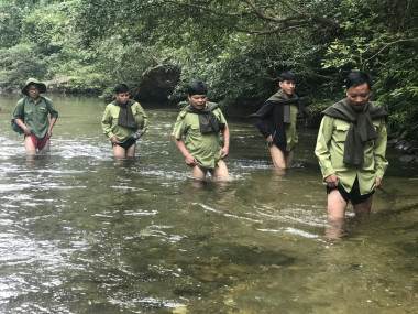 BQL Khu BTTN Pù Huống tăng cường công tác phối hợp tuần tra, kiểm tra và chống chặt phá rừng tận gốc trên địa bàn huyện Quỳ Châu năm 2024.