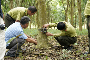 Tập huấn về phương pháp sử dụng bẫy ảnh tại BQL Khu BTTN Pù Huống