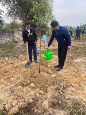 BQL Khu BTTN Pù Huống thực hiện Chương trình cung ứng và tham gia trồng cây xuân ẤT Tỵ 2025 tại các huyện trên địa bàn quản lý