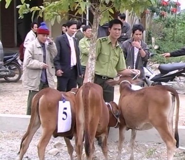 Khu BTTN Pù Huống thực hiện tốt các chương trình dự án