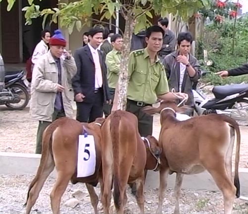 Khu BTTN Pù Huống thực hiện tốt các chương trình dự án
