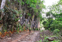 Chuyện người tuần rừng