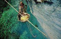 Người dân lấy mật ong