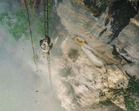 Người dân lấy mật ong