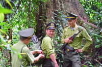 Chuyện người tuần rừng