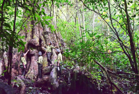Chuyện người tuần rừng