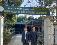 Trạm QLBVR Cắm Muộn