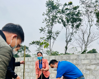 Công trình hàng cây thanh niên