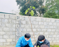 Công trình hàng cây thanh niên