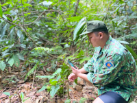 Hoạt động điều tra, giám sát đa dạng sinh học
